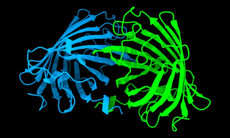Molecular render representing AlphaFold 2