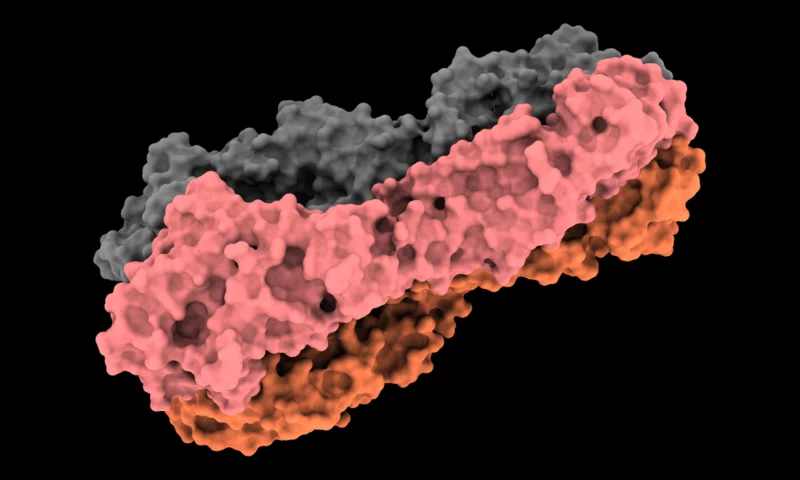 Molecular render representing IntelliFold-2