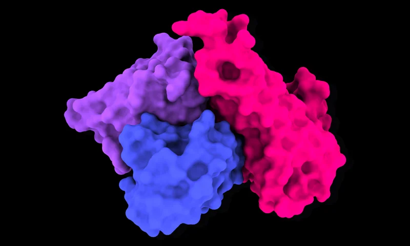 Molecular render representing OpenDDE