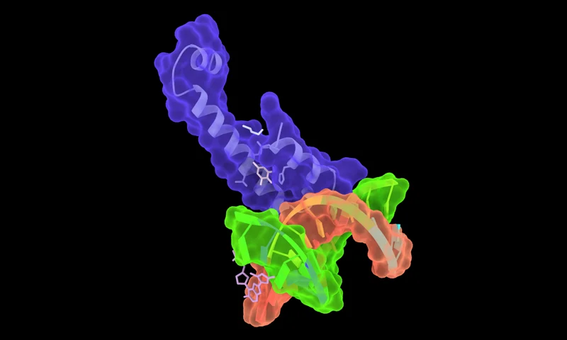 Molecular render representing Protenix-v2