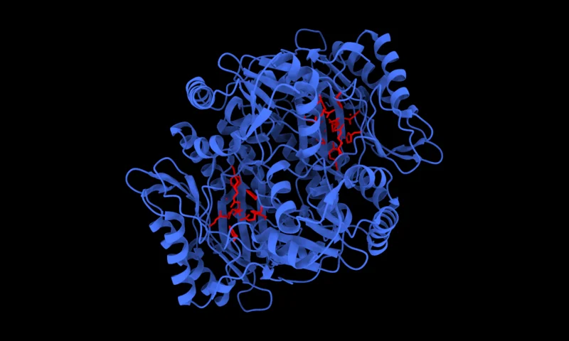 Molecular render representing RFdiffusion2