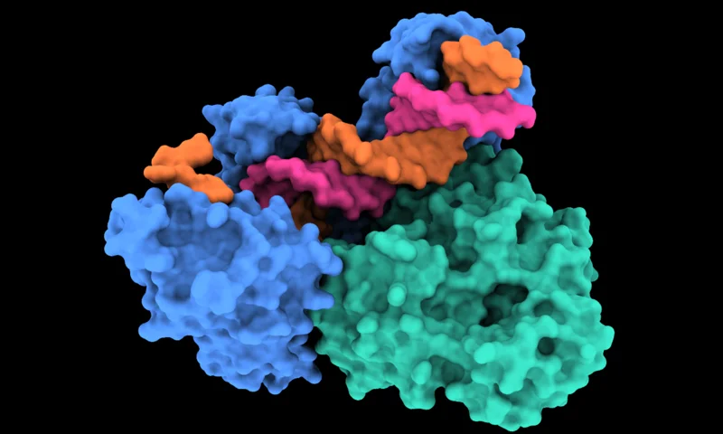 Molecular render representing RFdiffusion3